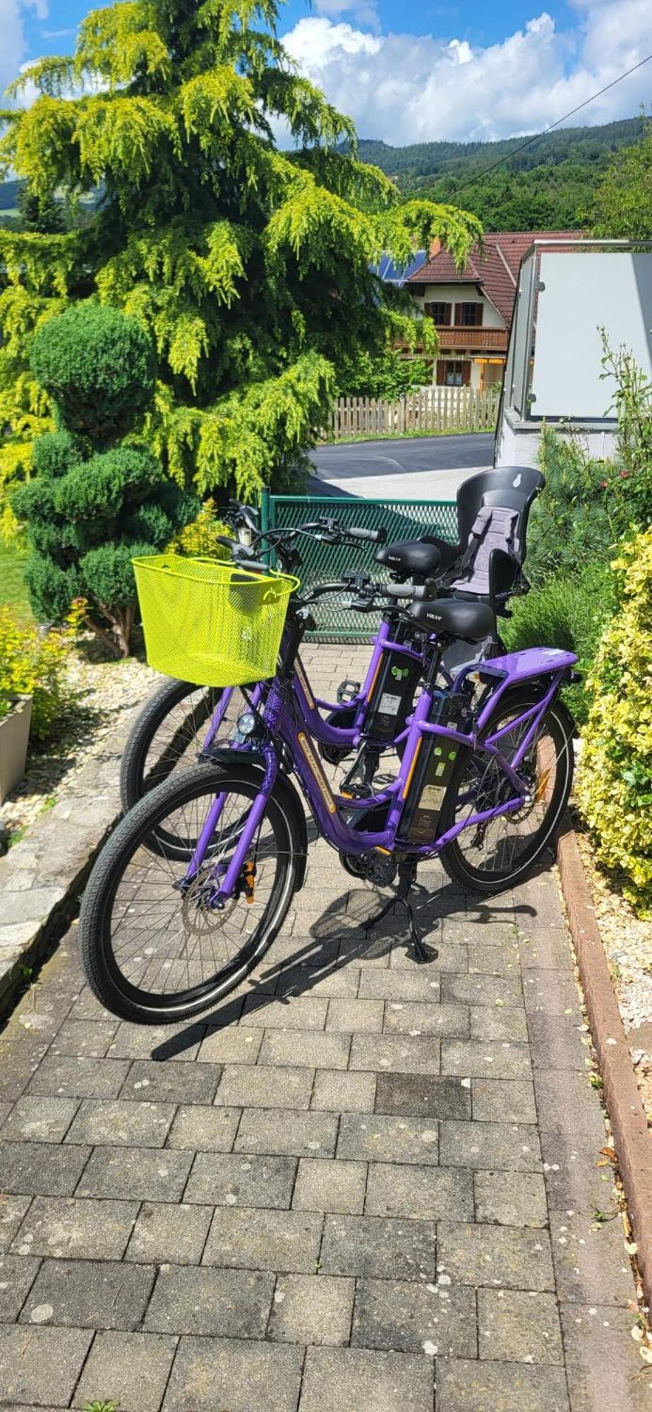 Zwei Schlafzimmer Ferienapartment Anna Am Stubenbergsee Inklusive Vier E-Bikes Εξωτερικό φωτογραφία