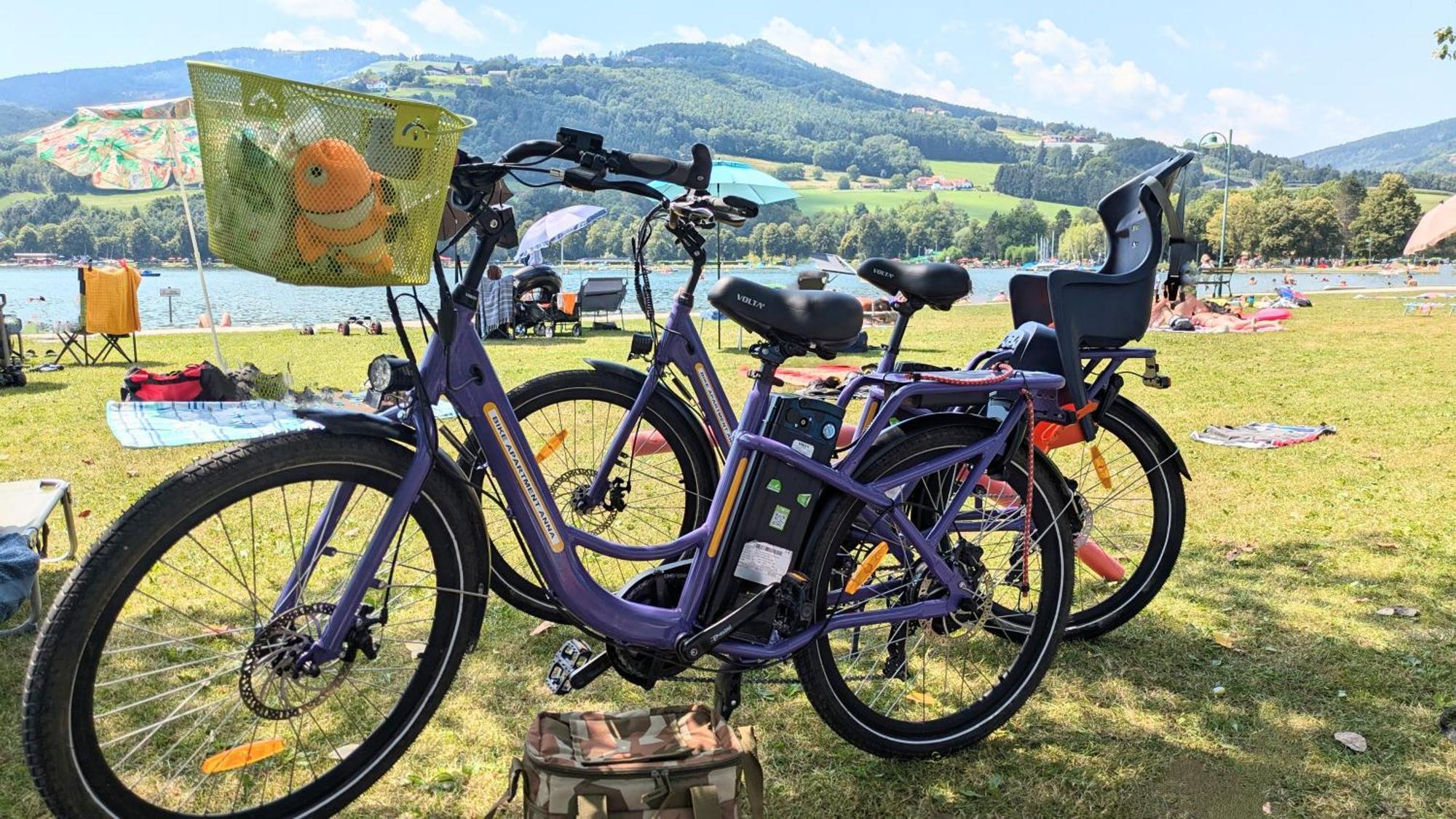 Zwei Schlafzimmer Ferienapartment Anna Am Stubenbergsee Inklusive Vier E-Bikes Εξωτερικό φωτογραφία